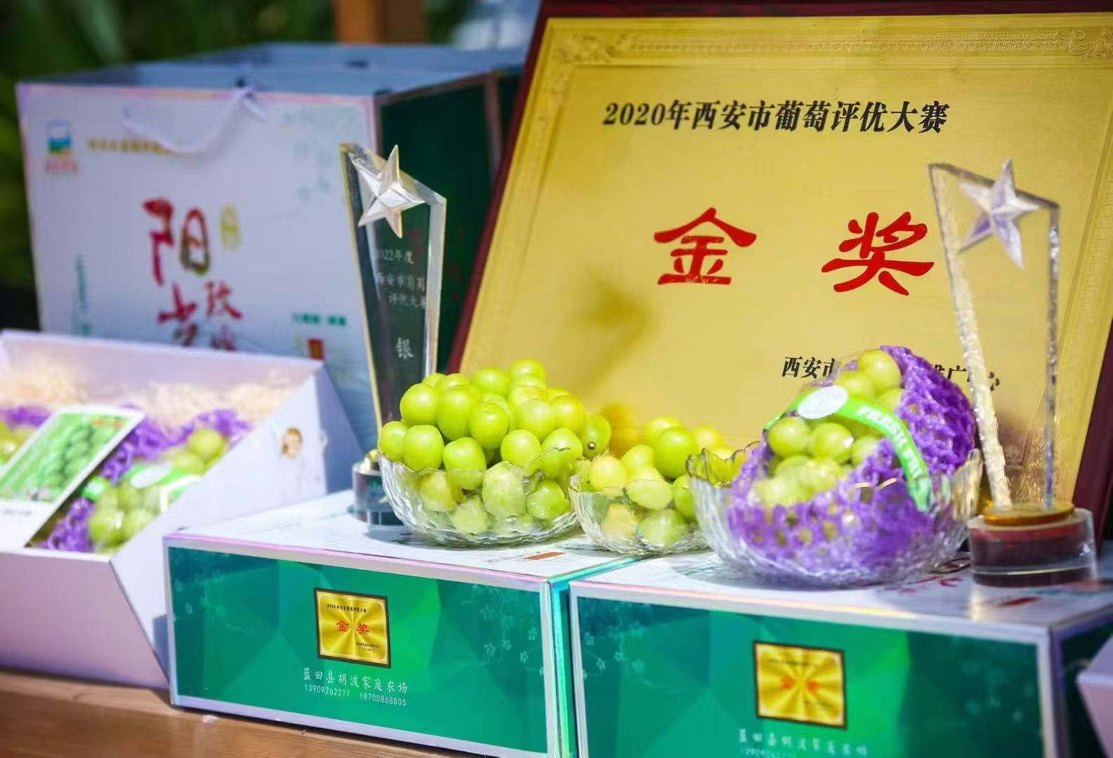 /ueditor/image/20260828/1787888768881725/158c4eb0473781542e06a308fa9db663.png 图片2.png
